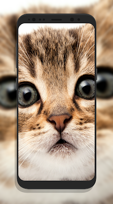 かわいい猫の壁紙 Androidアプリ Applion