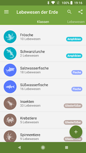 App-Vorschau