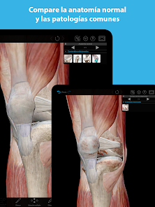 Screenshot 12 Músculos & Kinesiología android