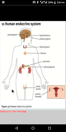 GRADE 12 LIFE SCIENCES  CAPS