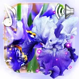 Iris Free Live Wallpaper icon