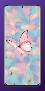 Kawaii Butterfly Wallpaper 4K