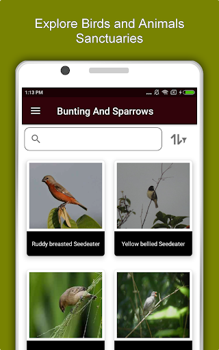 Screenshot of Trinidad and Tobago Travel & E