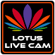 Lotus Live Cam - Androidアプリ