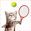 Cat Meow Tennis Sport Battle icon