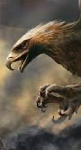 صوره صقر : بدون نت Screen 2