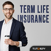 TERM LIFE INSURANCE - Guide