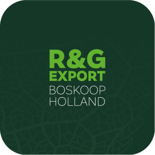R&G Export Download on Windows