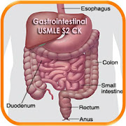 Gastrointestinal USMLE Stp2 CK
