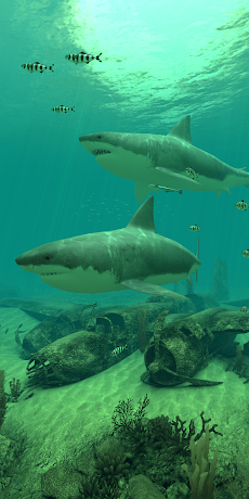 Sharks 3D - Live Wallpaperのおすすめ画像3