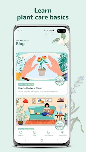Blossom – Plant Identification app 4