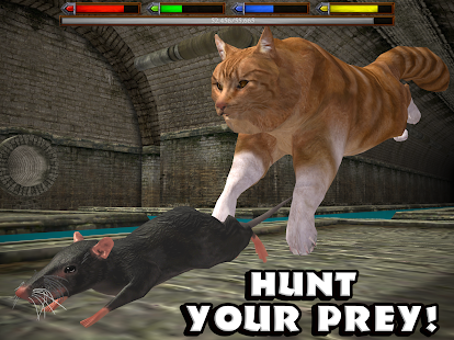 Ultimate Cat Simulator Screenshot