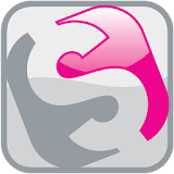 Pink Dollar icon