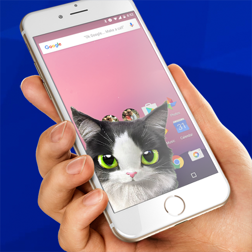 Cat inside phone prank  Icon