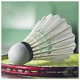 Badminton Sport icon