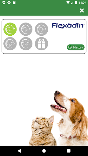 My Happy Pet Screen 3
