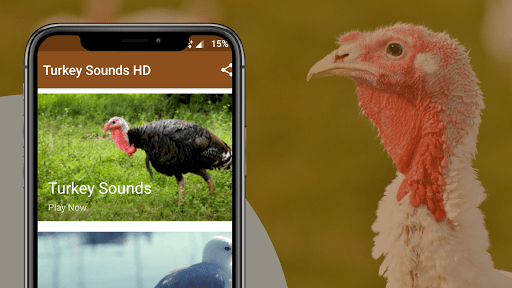 Turkey Sounds Screenshot 2 - AppWisp.com