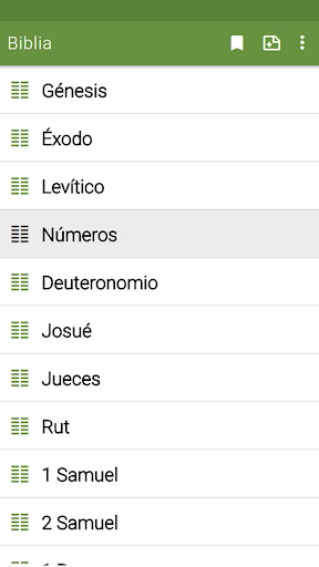 Biblia de estudio Reina Valera Screen 2