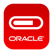 Oracle Primavera Progress