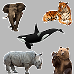 Cover Image of Download Animals Stickers  APK