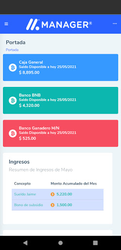 Manager Finanzas Screen 2