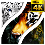 Tiger Wallpapers 4K UHD icon