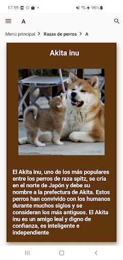 Perros. Zoogalaxy Screen 3