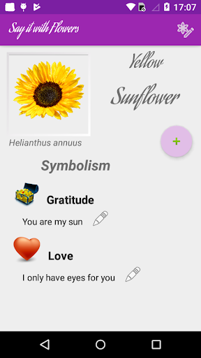 Say it with Flowers Plus Screen 3