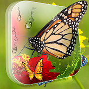 Top 30 Personalization Apps Like Butterflies Magic Touch - Best Alternatives