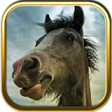 More Horse Puzzle Games icon