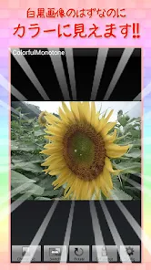 色が付く錯覚 カラフルモノトーン Google Play のアプリ