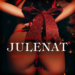Icon image Julenat – erotisk novellesamling