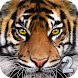 Ultimate Tiger Simulator 2 - Androidアプリ