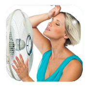 Hot Flashes In Women Remedies