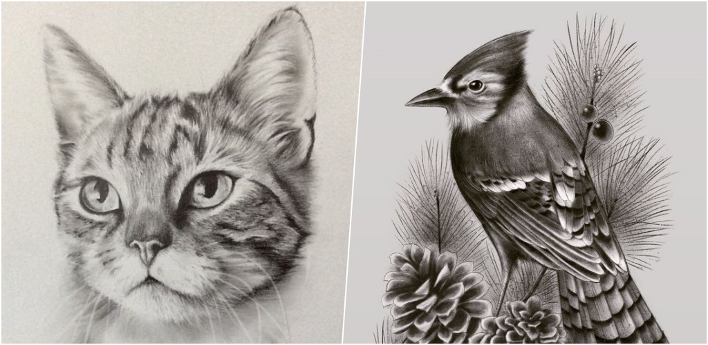 Download Easy Drawing Animal Ideas Art of Sketching Free for Android - Easy Drawing  Animal Ideas Art of Sketching APK Download 