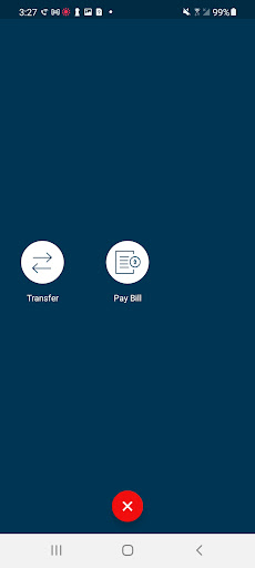 SNB Iowa Business Banking Screen 3