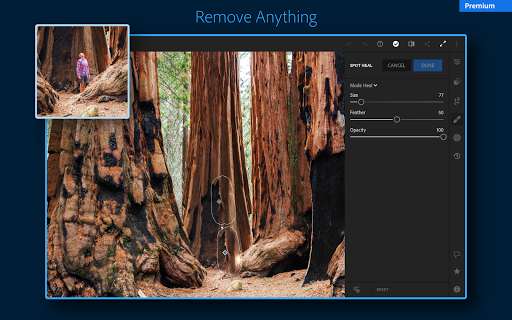 Adobe Lightroom - Photo Editor & Pro Camera 6.2.1 screenshots 13