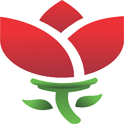 CONFE: Download & Review