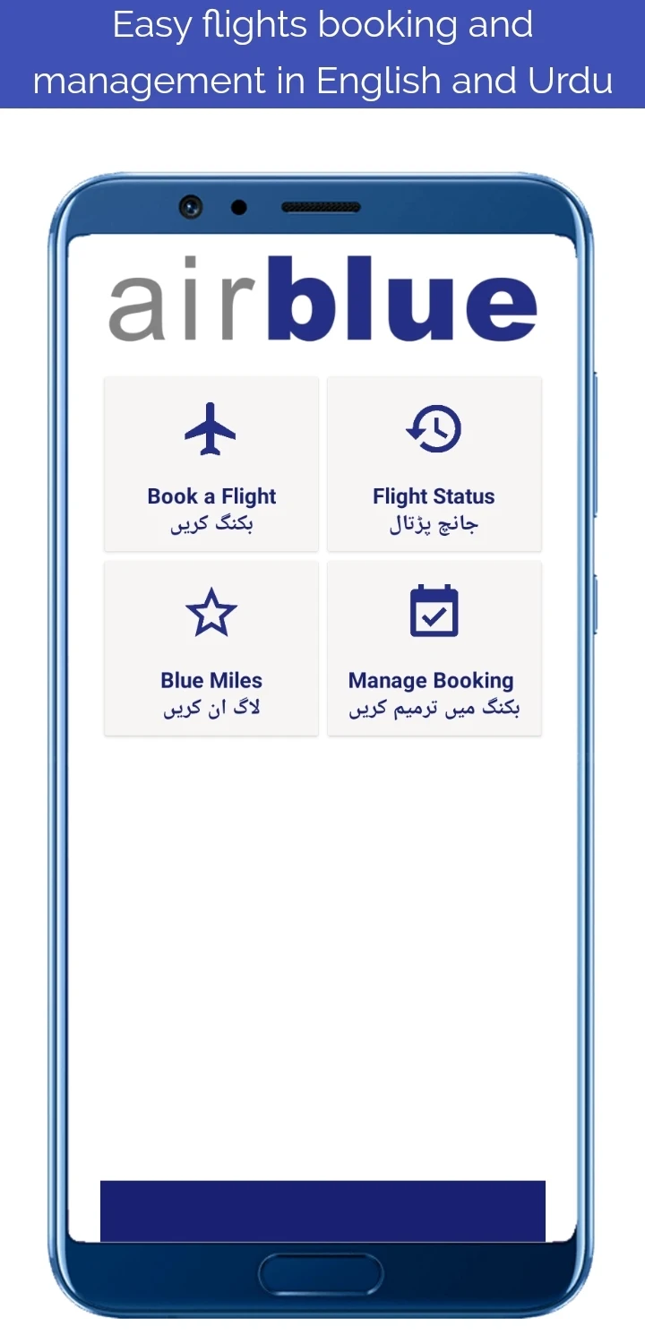 Blue Flights