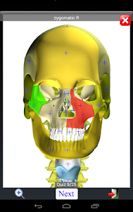 Anatomy Quiz Screenshot