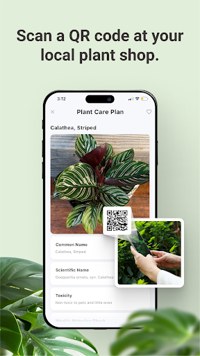 BloomCatch - Plant Geeks Screen 2