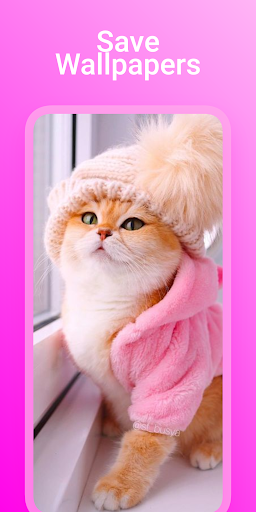 Cute Cat Wallpaper Screen 3