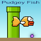 Pudgey Fish