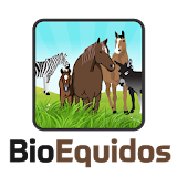 BioEquidos - Manage your Equine livestock. icon