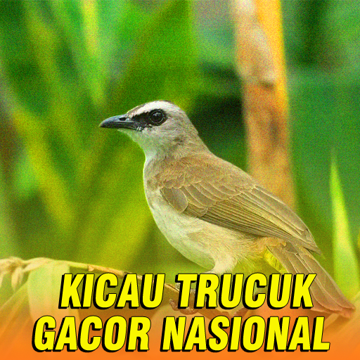 Kicau Trucukan Gacor Nasional logo