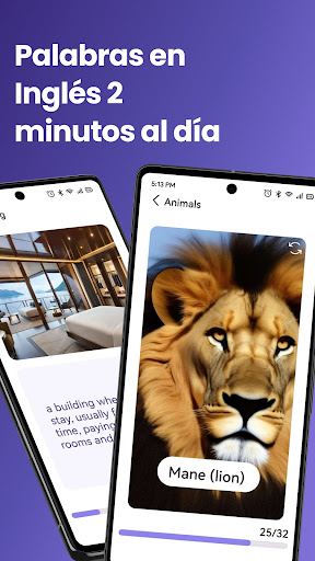 Vista previa de la aplicación
