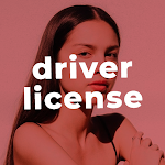 Cover Image of Download Driver mp3 License Offline 1.0 APK