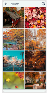 Autumn Wallpaper