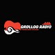 Grolloo Radio Descarga en Windows