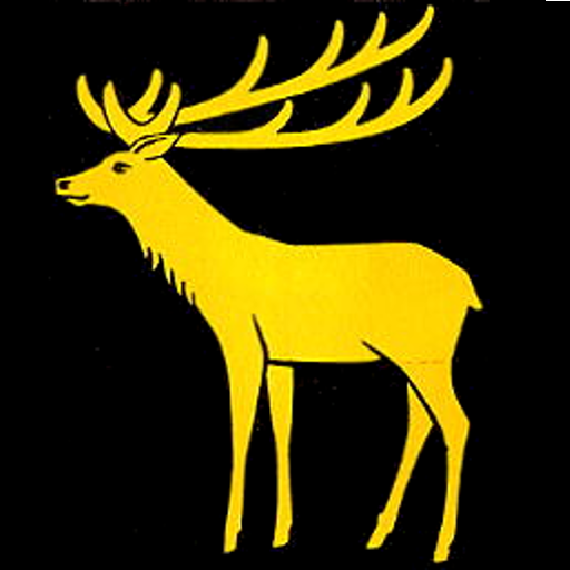 Faustball Dozwil logo
